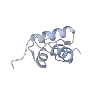 14181_7qvp_RZ_v1-1
Human collided disome (di-ribosome) stalled on XBP1 mRNA
