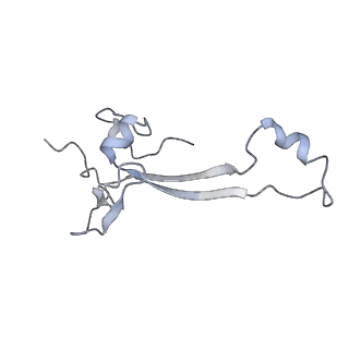 14181_7qvp_Ra_v1-1
Human collided disome (di-ribosome) stalled on XBP1 mRNA