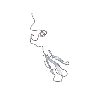 14181_7qvp_Rb_v1-1
Human collided disome (di-ribosome) stalled on XBP1 mRNA