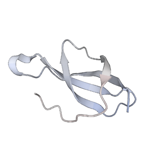 14181_7qvp_Rc_v1-1
Human collided disome (di-ribosome) stalled on XBP1 mRNA