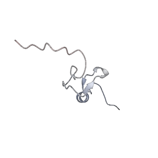 14181_7qvp_Rd_v1-1
Human collided disome (di-ribosome) stalled on XBP1 mRNA