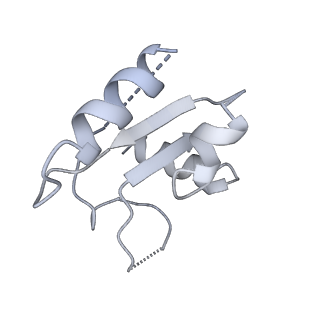 14181_7qvp_Rf_v1-1
Human collided disome (di-ribosome) stalled on XBP1 mRNA
