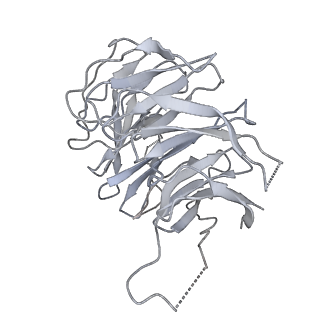 14181_7qvp_Rg_v1-1
Human collided disome (di-ribosome) stalled on XBP1 mRNA