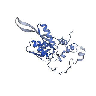 14181_7qvp_SC_v1-1
Human collided disome (di-ribosome) stalled on XBP1 mRNA