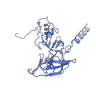 14181_7qvp_SE_v1-1
Human collided disome (di-ribosome) stalled on XBP1 mRNA