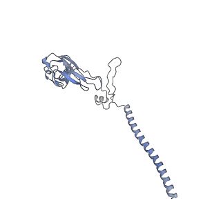 14181_7qvp_SG_v1-1
Human collided disome (di-ribosome) stalled on XBP1 mRNA