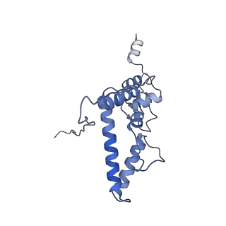 14181_7qvp_SJ_v1-1
Human collided disome (di-ribosome) stalled on XBP1 mRNA