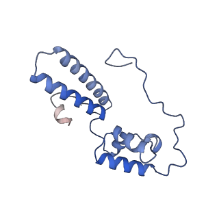 14181_7qvp_SN_v1-1
Human collided disome (di-ribosome) stalled on XBP1 mRNA