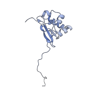14181_7qvp_SP_v1-1
Human collided disome (di-ribosome) stalled on XBP1 mRNA