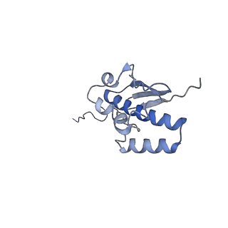 14181_7qvp_SQ_v1-1
Human collided disome (di-ribosome) stalled on XBP1 mRNA