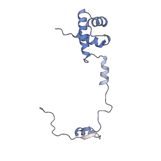 14181_7qvp_SR_v1-1
Human collided disome (di-ribosome) stalled on XBP1 mRNA