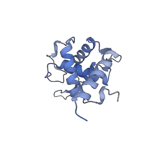 14181_7qvp_ST_v1-1
Human collided disome (di-ribosome) stalled on XBP1 mRNA