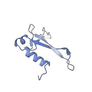 14181_7qvp_SV_v1-1
Human collided disome (di-ribosome) stalled on XBP1 mRNA