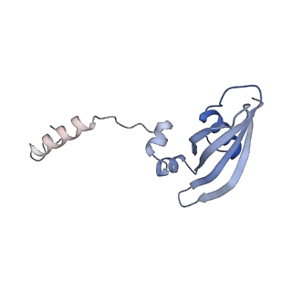 14181_7qvp_SY_v1-1
Human collided disome (di-ribosome) stalled on XBP1 mRNA
