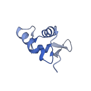 14181_7qvp_SZ_v1-1
Human collided disome (di-ribosome) stalled on XBP1 mRNA