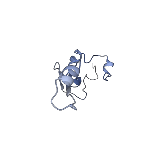 14181_7qvp_Sa_v1-1
Human collided disome (di-ribosome) stalled on XBP1 mRNA