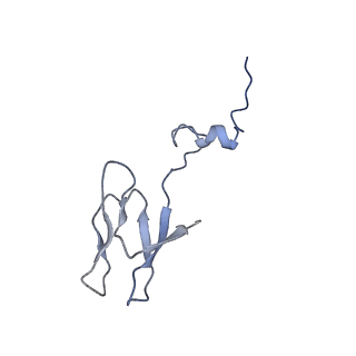 14181_7qvp_Sb_v1-1
Human collided disome (di-ribosome) stalled on XBP1 mRNA