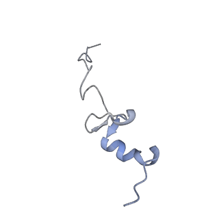 14181_7qvp_Sd_v1-1
Human collided disome (di-ribosome) stalled on XBP1 mRNA