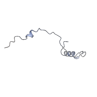 14181_7qvp_Se_v1-1
Human collided disome (di-ribosome) stalled on XBP1 mRNA