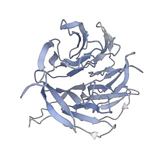14181_7qvp_Sg_v1-1
Human collided disome (di-ribosome) stalled on XBP1 mRNA