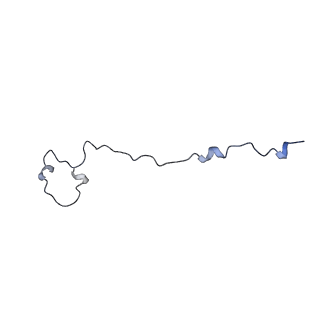 18674_8qvw_A_v1-0
Cryo-EM structure of the peptide binding domain of human SRP68/72