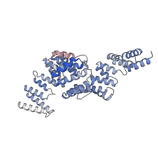 18674_8qvw_B_v1-0
Cryo-EM structure of the peptide binding domain of human SRP68/72