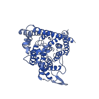 4645_6qv6_A_v1-1
CryoEM structure of the human ClC-1 chloride channel, membrane domain