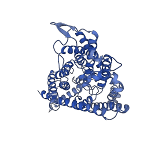 4645_6qv6_B_v1-1
CryoEM structure of the human ClC-1 chloride channel, membrane domain