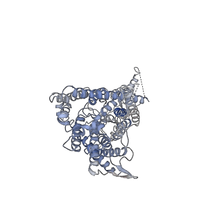 4646_6qvb_A_v1-2
CryoEM structure of the human ClC-1 chloride channel, CBS state 3