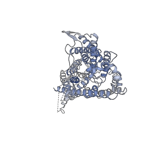 4646_6qvb_B_v1-2
CryoEM structure of the human ClC-1 chloride channel, CBS state 3