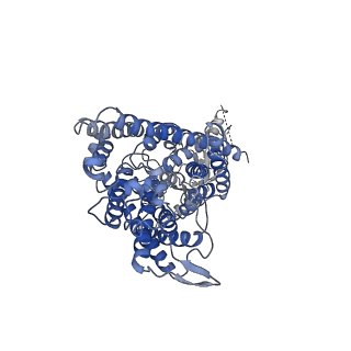 4647_6qvc_A_v1-1
CryoEM structure of the human ClC-1 chloride channel, CBS state 1