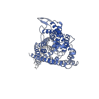 4647_6qvc_B_v1-1
CryoEM structure of the human ClC-1 chloride channel, CBS state 1