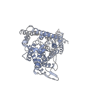 4649_6qvd_A_v1-1
CryoEM structure of the human ClC-1 chloride channel, CBS state 2