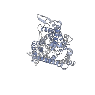 4649_6qvd_B_v1-1
CryoEM structure of the human ClC-1 chloride channel, CBS state 2