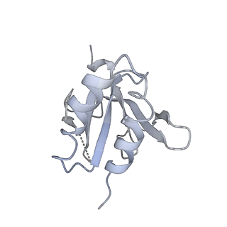 4654_6qvj_I_v1-4
HsCKK (human CAMSAP1) decorated 14pf taxol-GDP microtubule