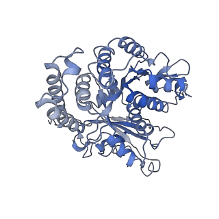 4654_6qvj_X_v1-4
HsCKK (human CAMSAP1) decorated 14pf taxol-GDP microtubule