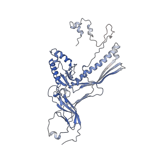 4655_6qvk_1A_v1-0
The cryo-EM structure of bacteriophage phi29 prohead