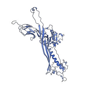 4655_6qvk_1C_v1-0
The cryo-EM structure of bacteriophage phi29 prohead