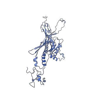 4655_6qvk_1D_v1-0
The cryo-EM structure of bacteriophage phi29 prohead