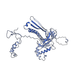 4655_6qvk_1E_v1-0
The cryo-EM structure of bacteriophage phi29 prohead