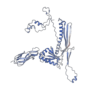 4655_6qvk_1F_v1-0
The cryo-EM structure of bacteriophage phi29 prohead
