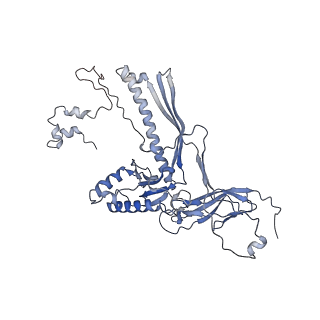 4655_6qvk_1G_v1-0
The cryo-EM structure of bacteriophage phi29 prohead