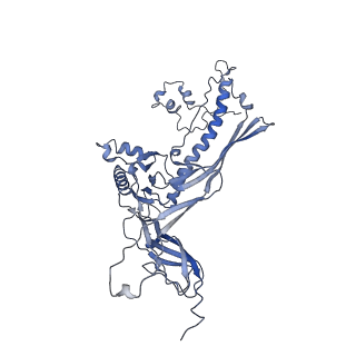 4655_6qvk_1H_v1-0
The cryo-EM structure of bacteriophage phi29 prohead