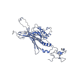 4655_6qvk_1J_v1-0
The cryo-EM structure of bacteriophage phi29 prohead