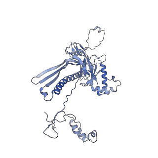 4655_6qvk_1K_v1-0
The cryo-EM structure of bacteriophage phi29 prohead