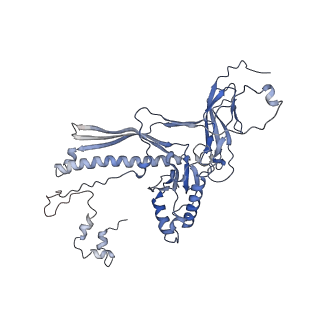 4655_6qvk_1M_v1-0
The cryo-EM structure of bacteriophage phi29 prohead