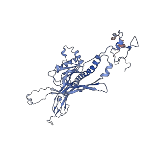 4655_6qvk_1P_v1-0
The cryo-EM structure of bacteriophage phi29 prohead