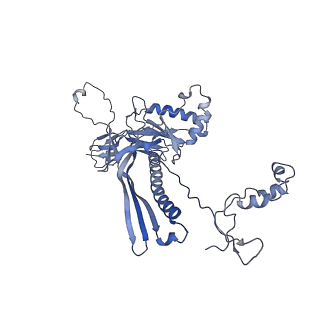 4655_6qvk_1Q_v1-0
The cryo-EM structure of bacteriophage phi29 prohead