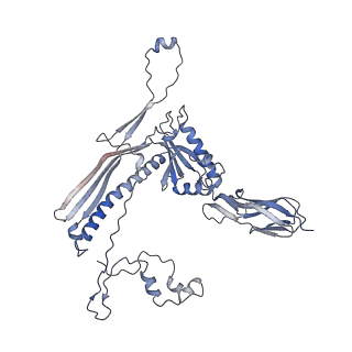 4655_6qvk_1R_v1-0
The cryo-EM structure of bacteriophage phi29 prohead