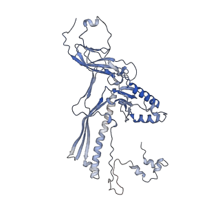 4655_6qvk_1S_v1-0
The cryo-EM structure of bacteriophage phi29 prohead